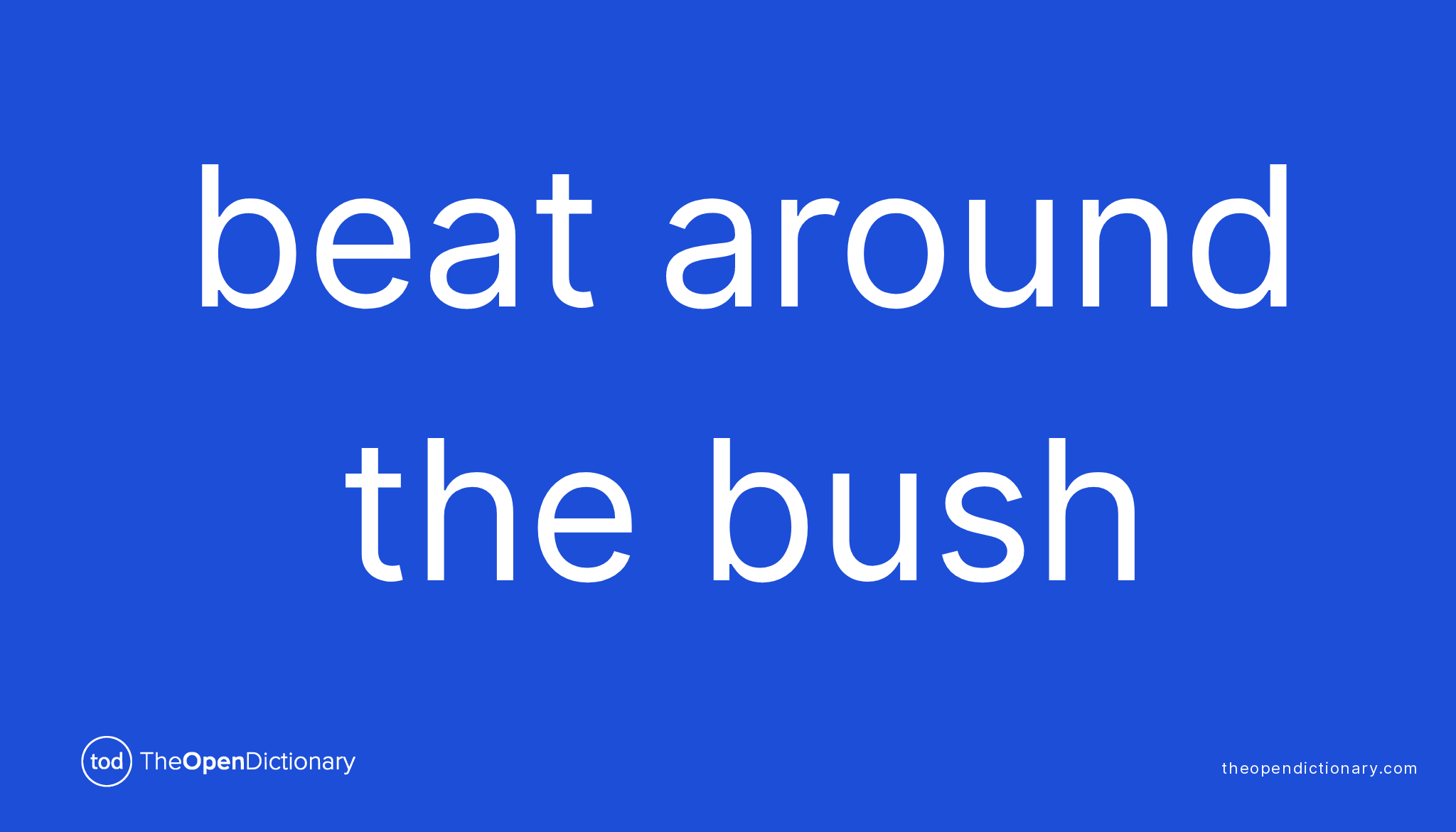 beat around the bush idiom