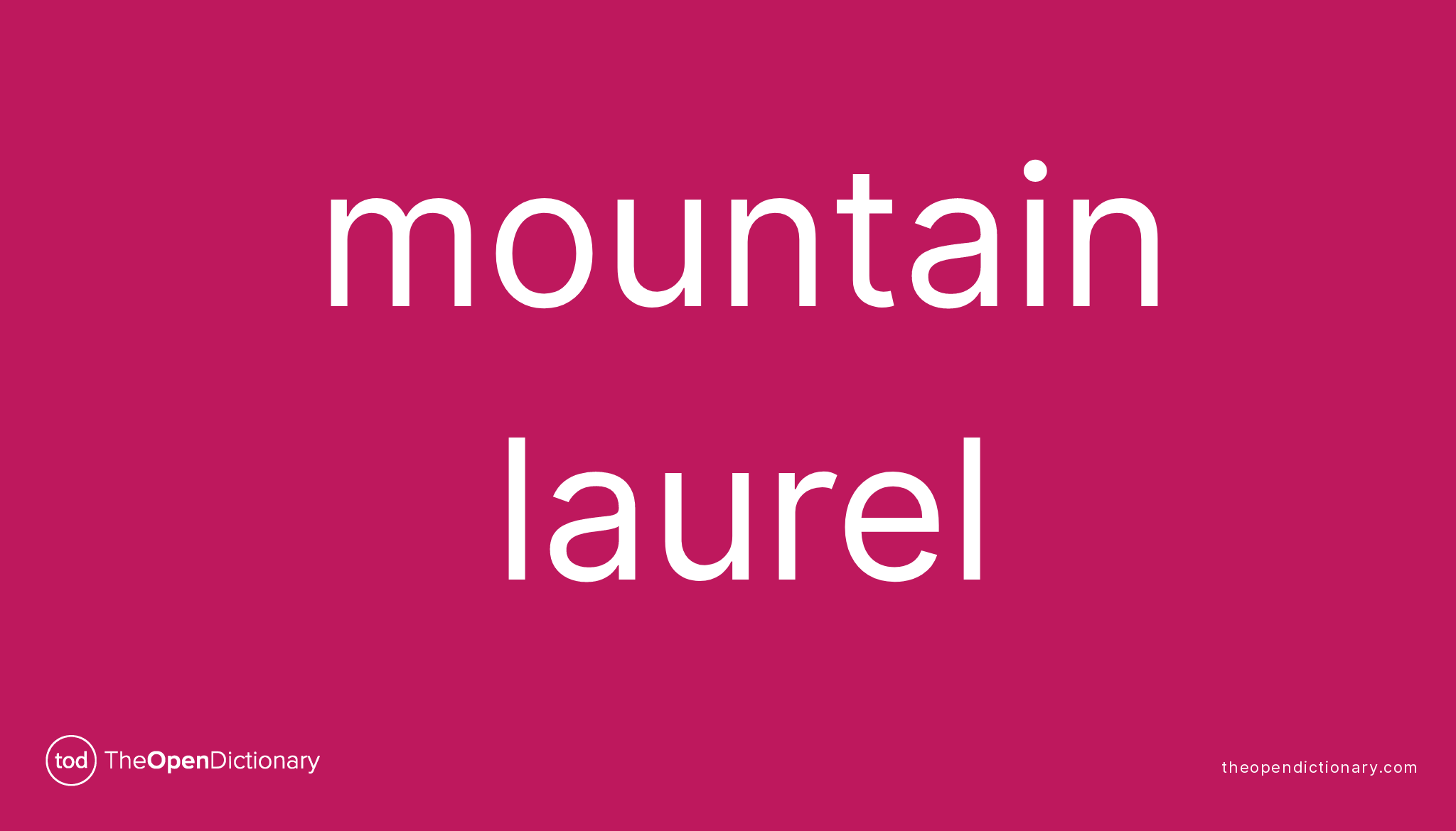Mountain laurel | Meaning of Mountain laurel | Definition of Mountain ...