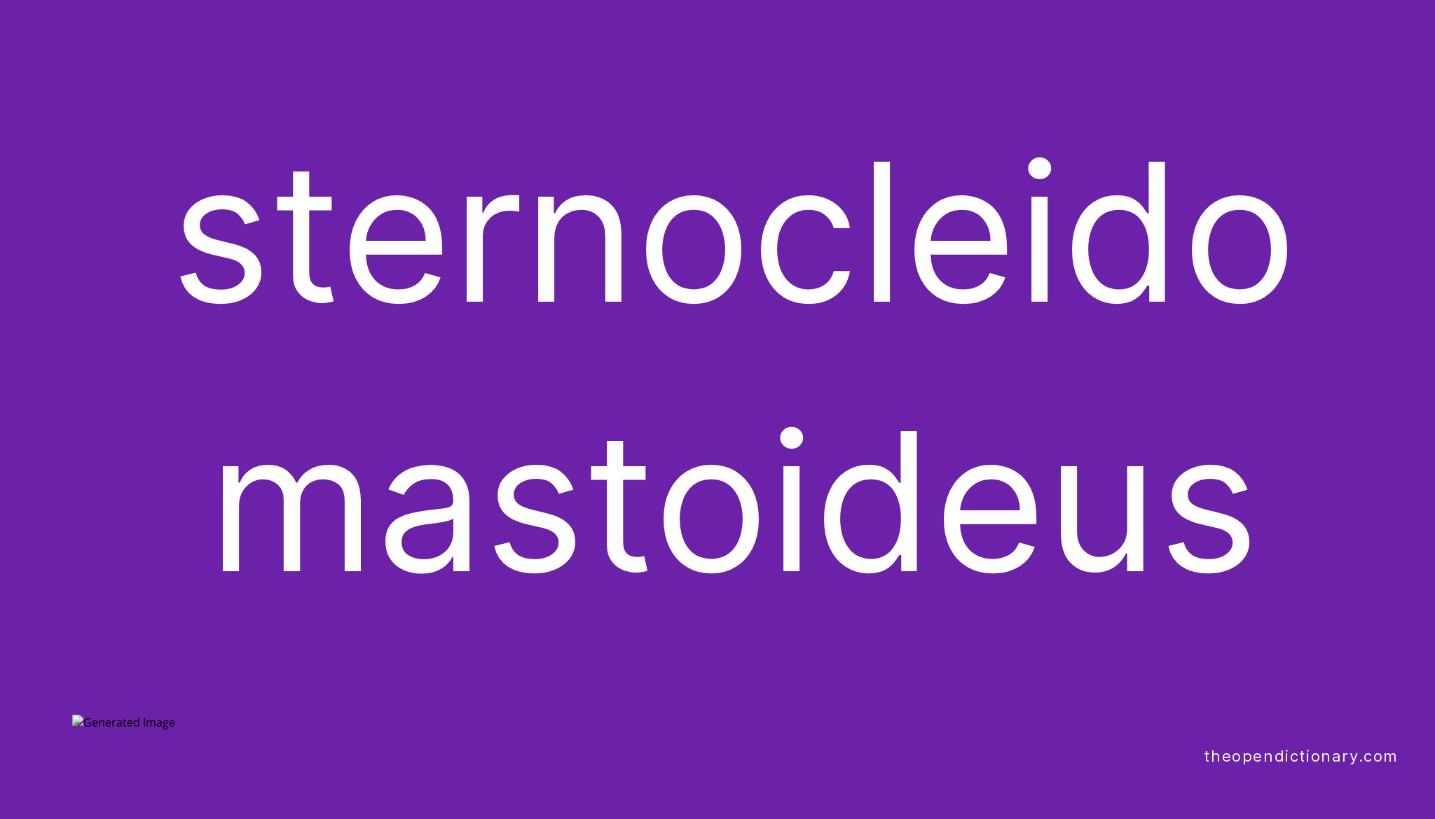 Sternocleidomastoideus Meaning Of Sternocleidomastoideus Definition sternocleidomastoideus-meaning-of-sternocleidomastoideus-definition